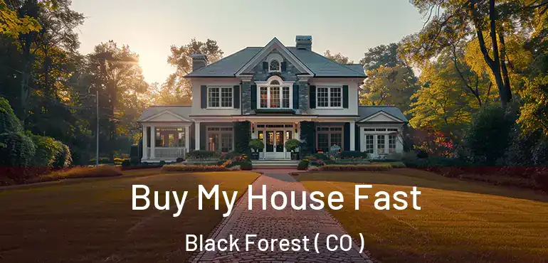  Buy My House Fast Black Forest ( CO )