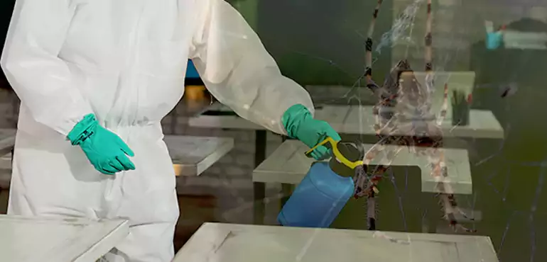 Why Buyers Still Want Homes With Pest Infestations in The Pinery, CO?