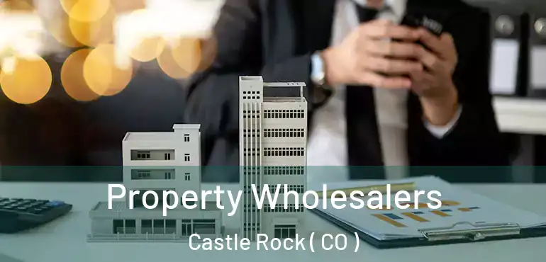  Property Wholesalers Castle Rock ( CO )