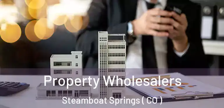  Property Wholesalers Steamboat Springs ( CO )