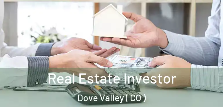  Real Estate Investor Dove Valley ( CO )