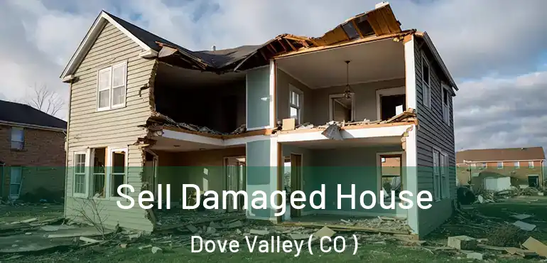  Sell Damaged House Dove Valley ( CO )