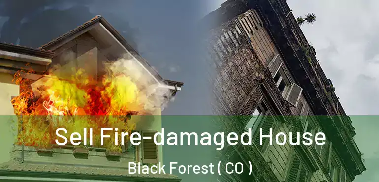  Sell Fire-damaged House Black Forest ( CO )