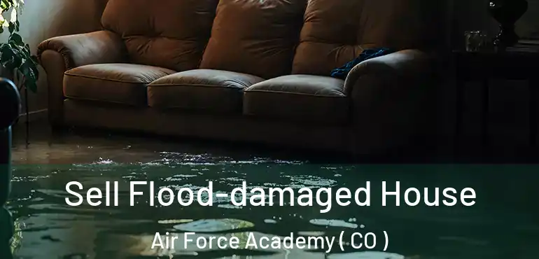  Sell Flood-damaged House Air Force Academy ( CO )