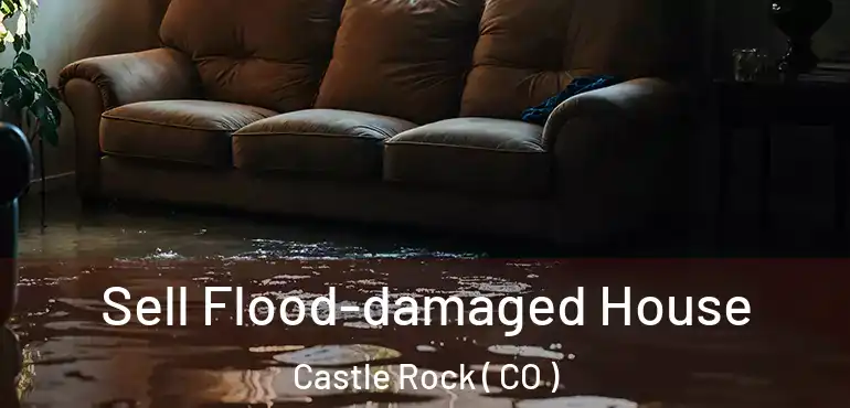  Sell Flood-damaged House Castle Rock ( CO )