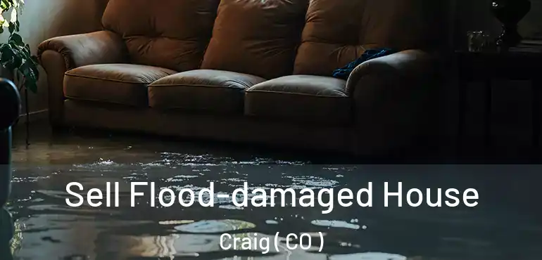  Sell Flood-damaged House Craig ( CO )