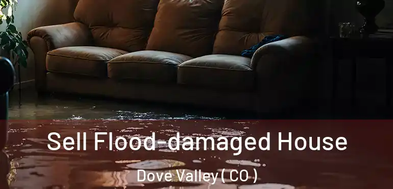  Sell Flood-damaged House Dove Valley ( CO )