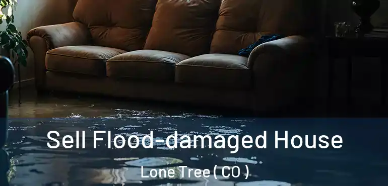  Sell Flood-damaged House Lone Tree ( CO )