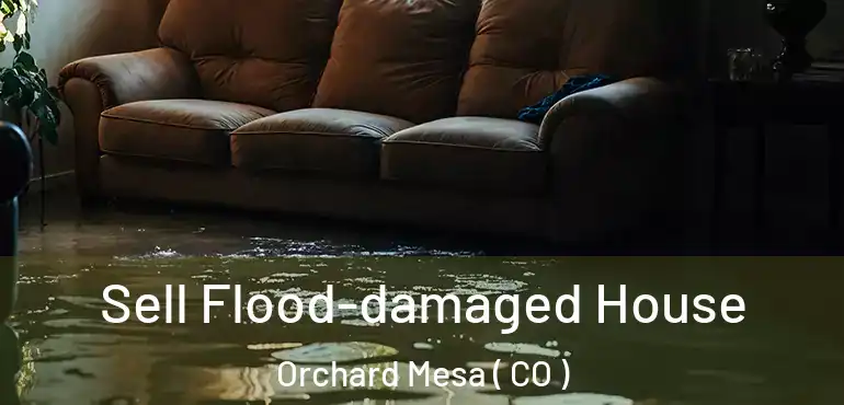  Sell Flood-damaged House Orchard Mesa ( CO )