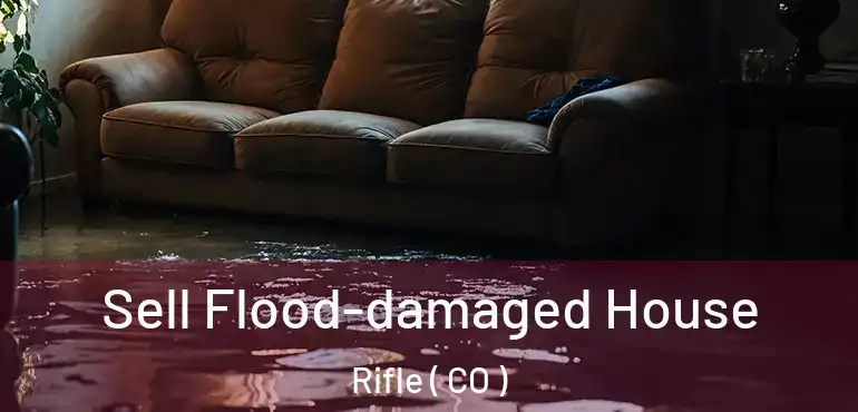  Sell Flood-damaged House Rifle ( CO )