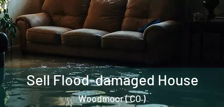  Sell Flood-damaged House Woodmoor ( CO )