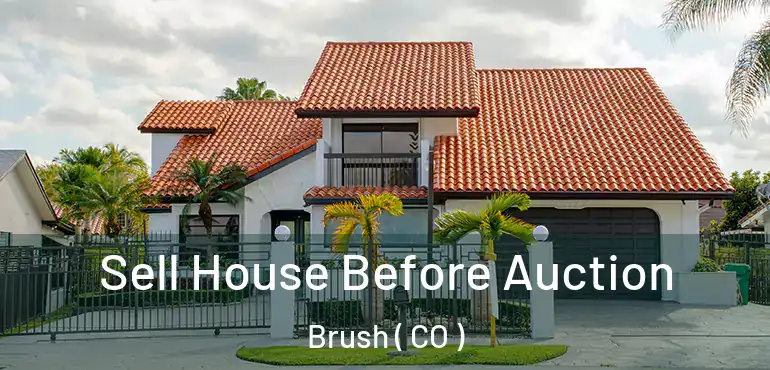  Sell House Before Auction Brush ( CO )