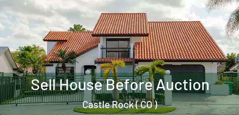  Sell House Before Auction Castle Rock ( CO )
