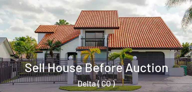  Sell House Before Auction Delta ( CO )
