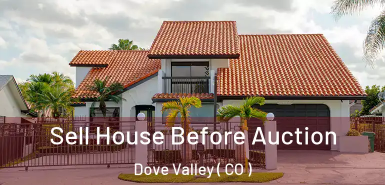  Sell House Before Auction Dove Valley ( CO )