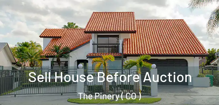  Sell House Before Auction The Pinery ( CO )