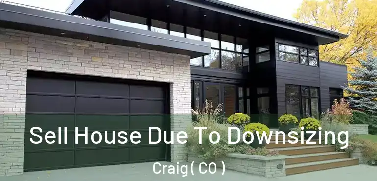  Sell House Due To Downsizing Craig ( CO )