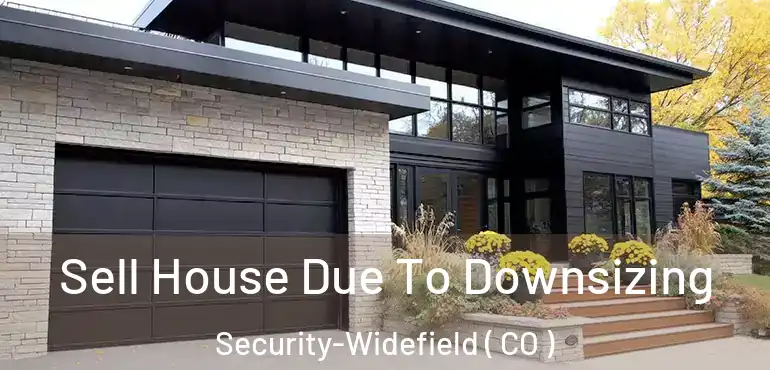  Sell House Due To Downsizing Security-Widefield ( CO )