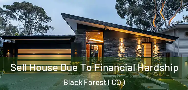  Sell House Due To Financial Hardship Black Forest ( CO )