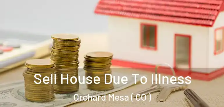  Sell House Due To Illness Orchard Mesa ( CO )