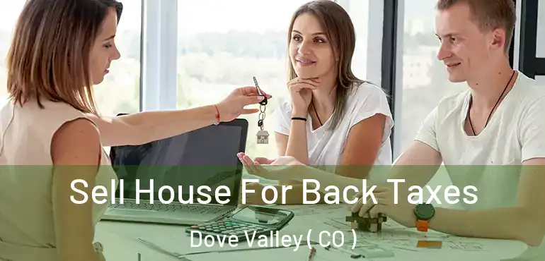 Sell House For Back Taxes Dove Valley ( CO )