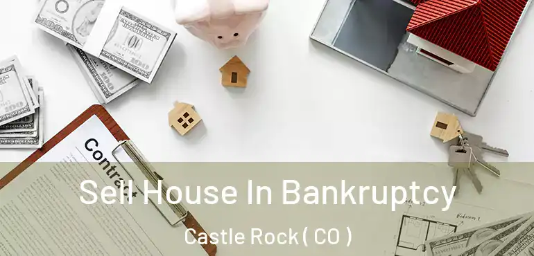  Sell House In Bankruptcy Castle Rock ( CO )