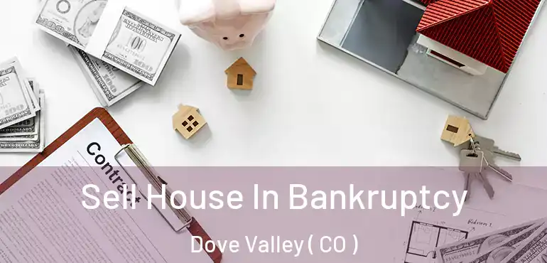  Sell House In Bankruptcy Dove Valley ( CO )
