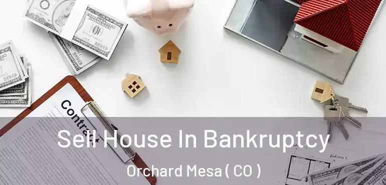  Sell House In Bankruptcy Orchard Mesa ( CO )