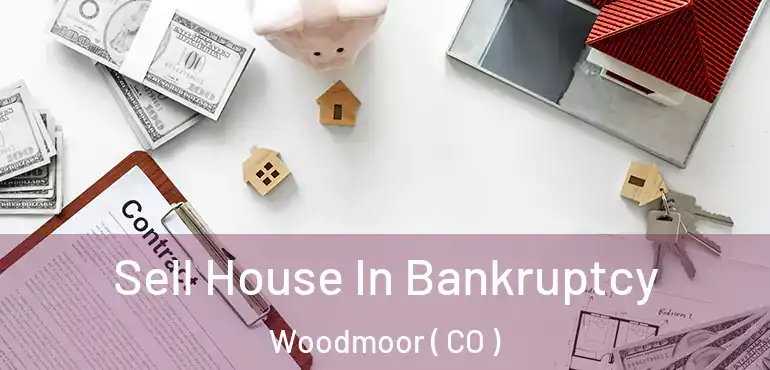  Sell House In Bankruptcy Woodmoor ( CO )