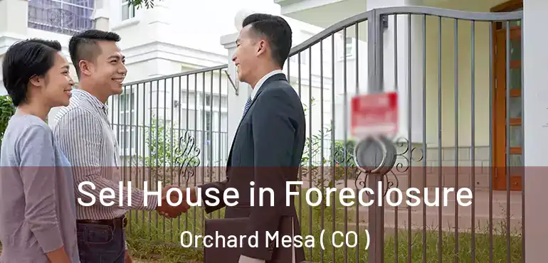  Sell House in Foreclosure Orchard Mesa ( CO )