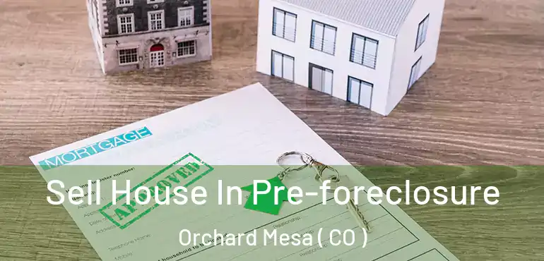  Sell House In Pre-foreclosure Orchard Mesa ( CO )