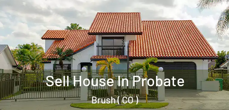  Sell House In Probate Brush ( CO )
