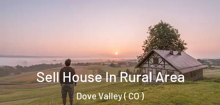  Sell House In Rural Area Dove Valley ( CO )