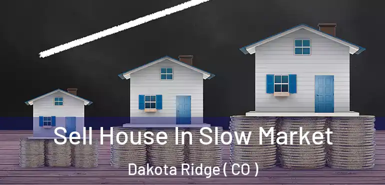  Sell House In Slow Market Dakota Ridge ( CO )
