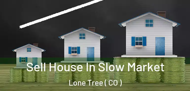  Sell House In Slow Market Lone Tree ( CO )