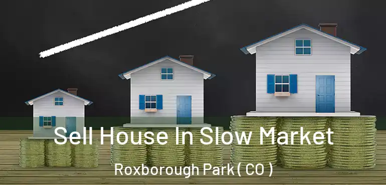 Sell House In Slow Market Roxborough Park ( CO )