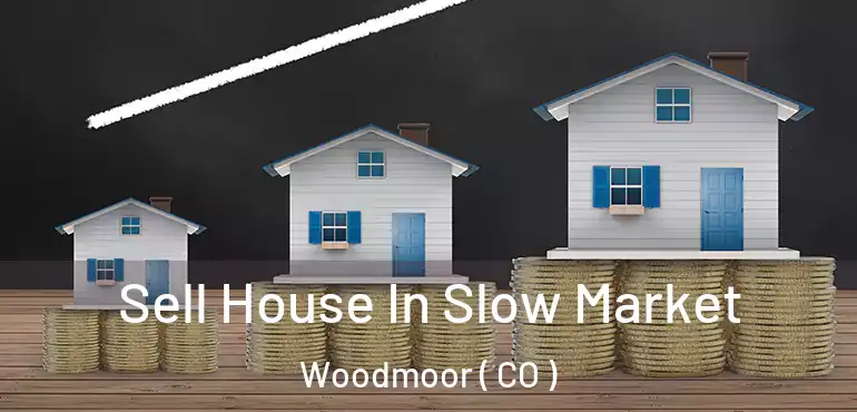  Sell House In Slow Market Woodmoor ( CO )