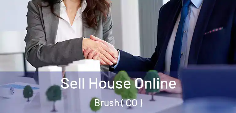  Sell House Online Brush ( CO )