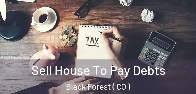  Sell House To Pay Debts Black Forest ( CO )