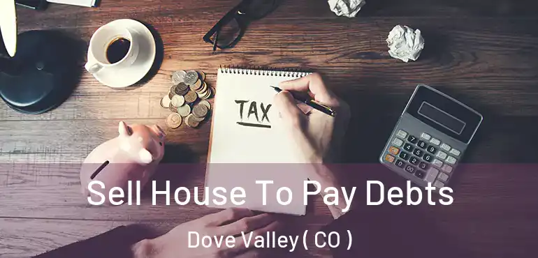  Sell House To Pay Debts Dove Valley ( CO )