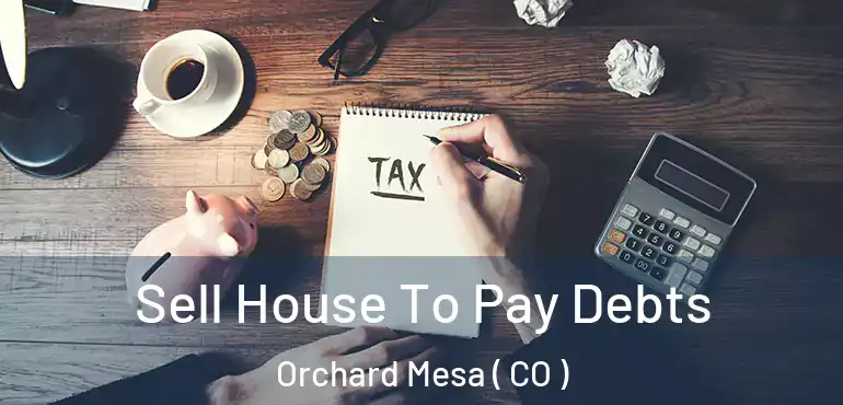  Sell House To Pay Debts Orchard Mesa ( CO )