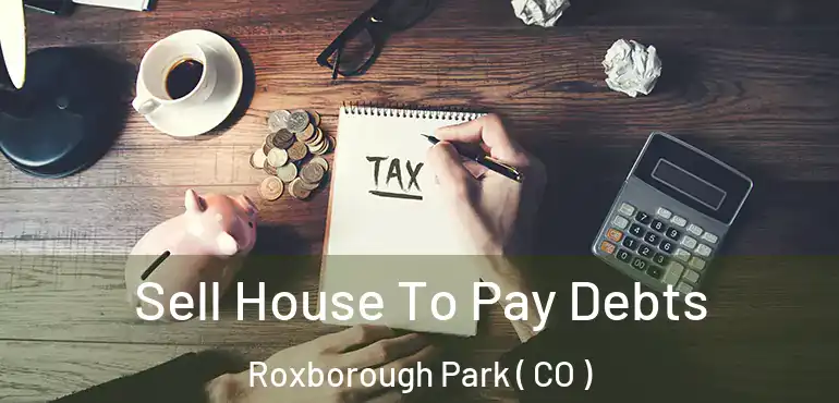  Sell House To Pay Debts Roxborough Park ( CO )