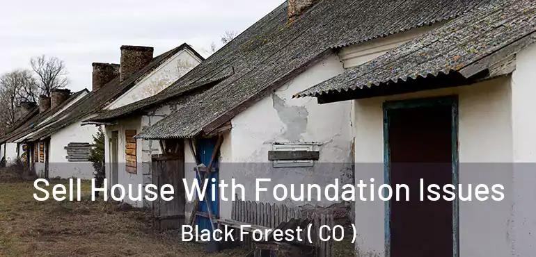 Sell House With Foundation Issues Black Forest ( CO )