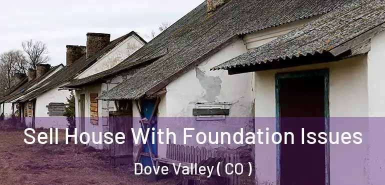  Sell House With Foundation Issues Dove Valley ( CO )