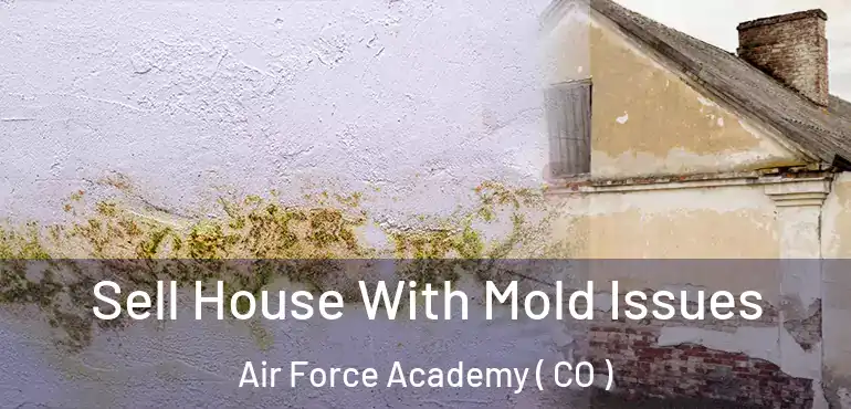  Sell House With Mold Issues Air Force Academy ( CO )