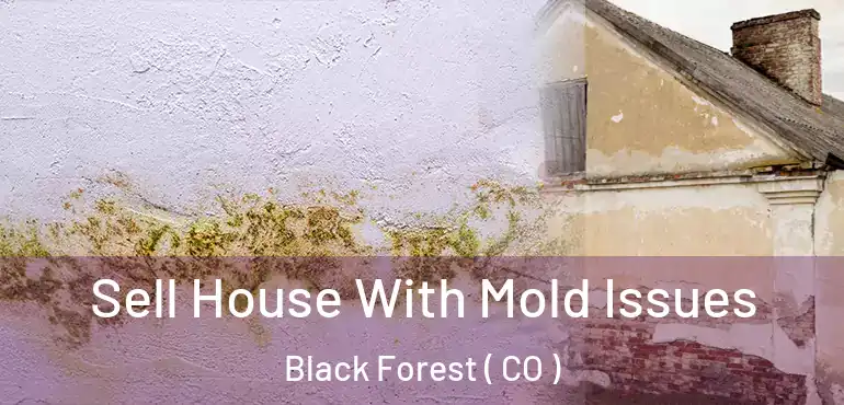  Sell House With Mold Issues Black Forest ( CO )