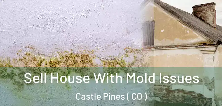  Sell House With Mold Issues Castle Pines ( CO )