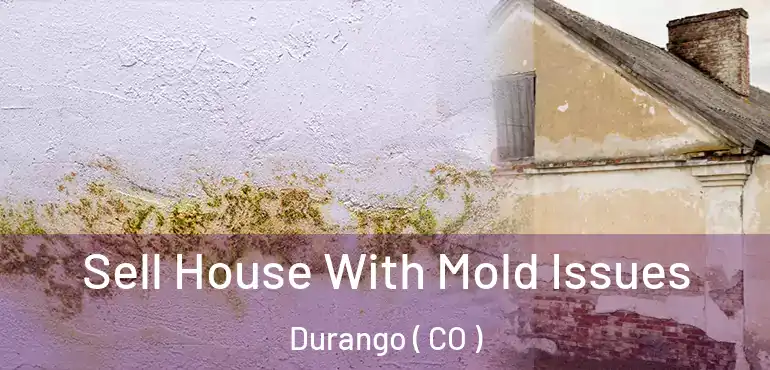  Sell House With Mold Issues Durango ( CO )