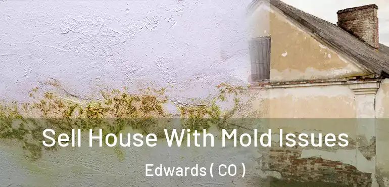  Sell House With Mold Issues Edwards ( CO )