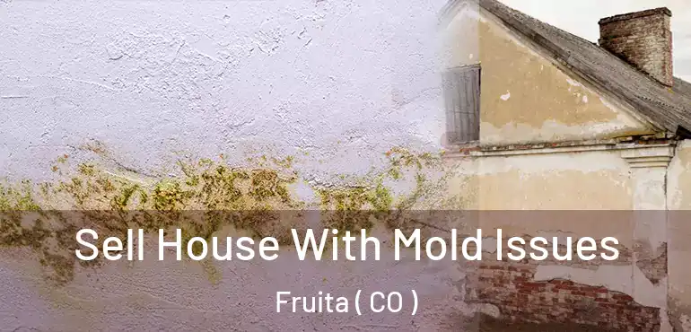  Sell House With Mold Issues Fruita ( CO )